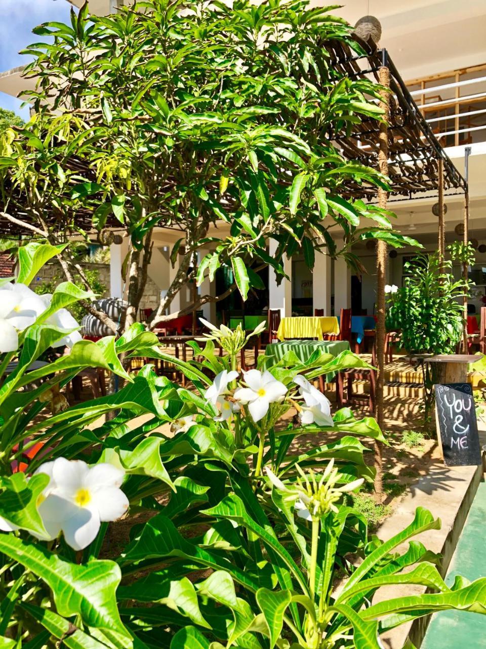 Coppenrath Hostel Tangalle Exterior photo
